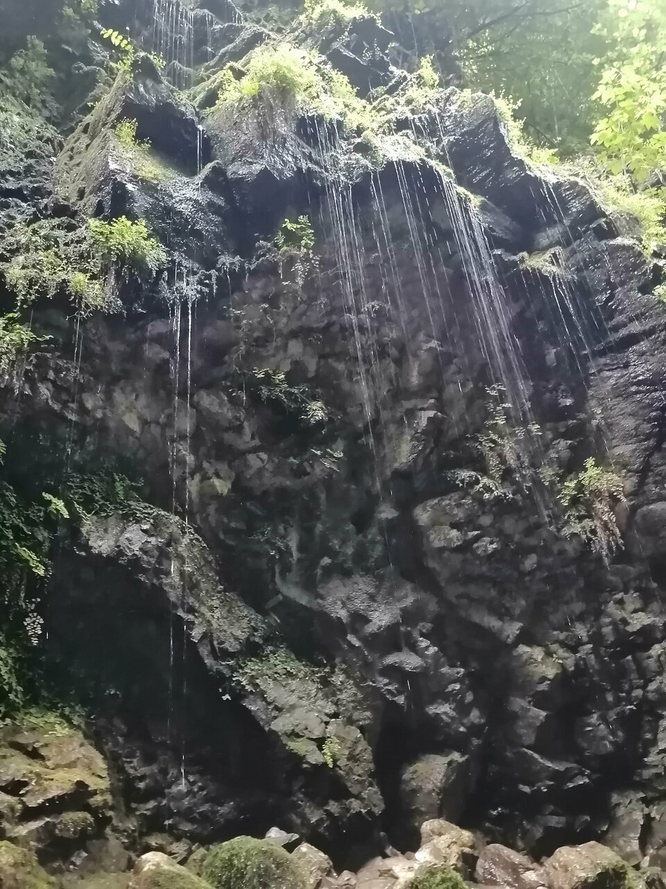 Гостиница Хоста Хоста-152