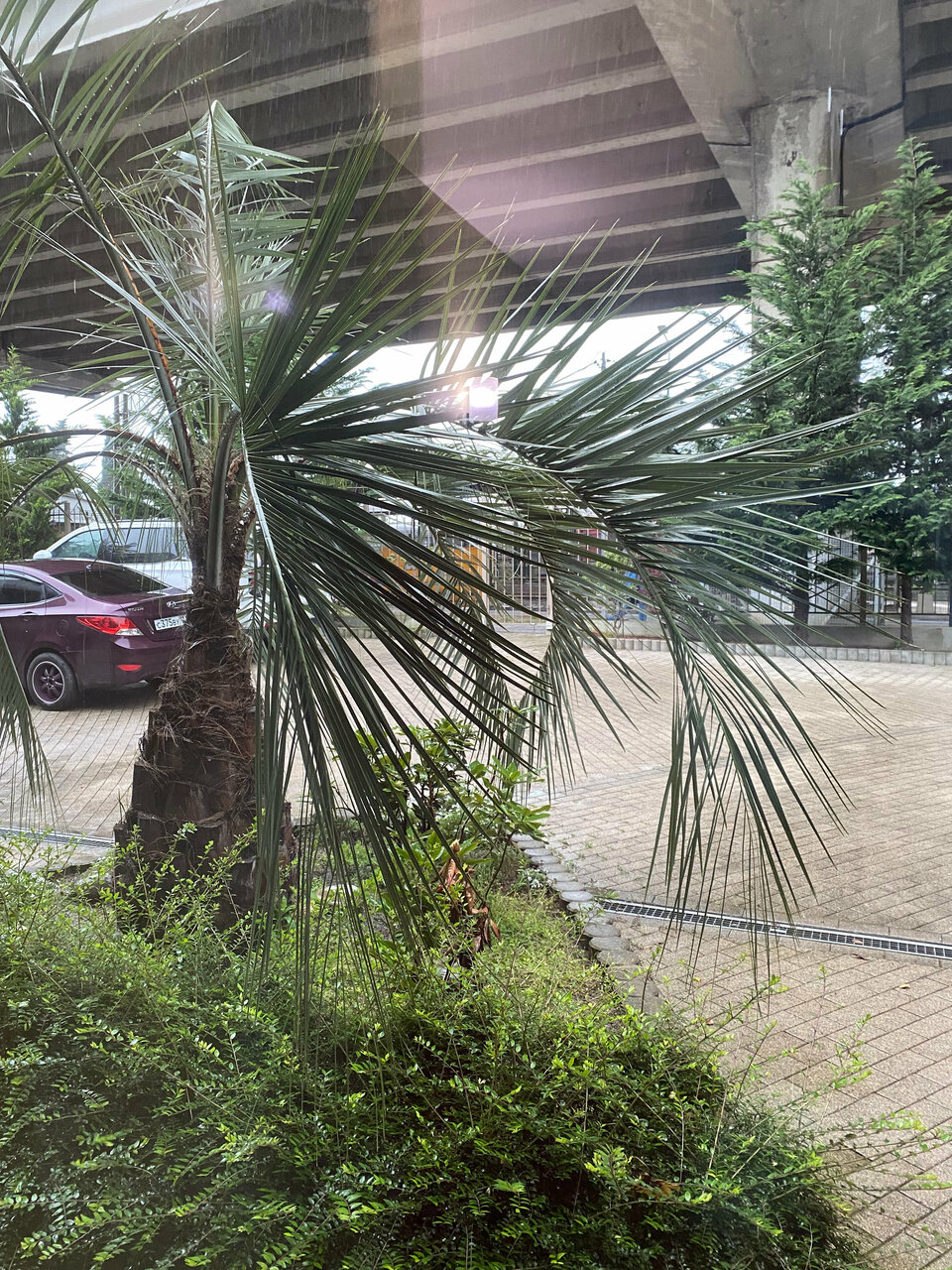 Гостиница Хоста Хоста-173