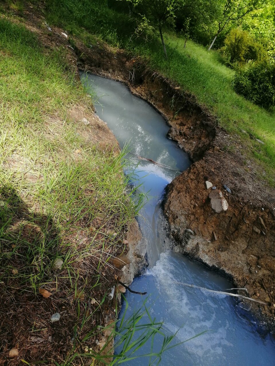 Гостиница Хоста Хоста-166