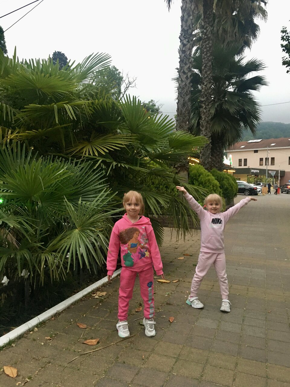 Гостиница Хоста Хоста-158