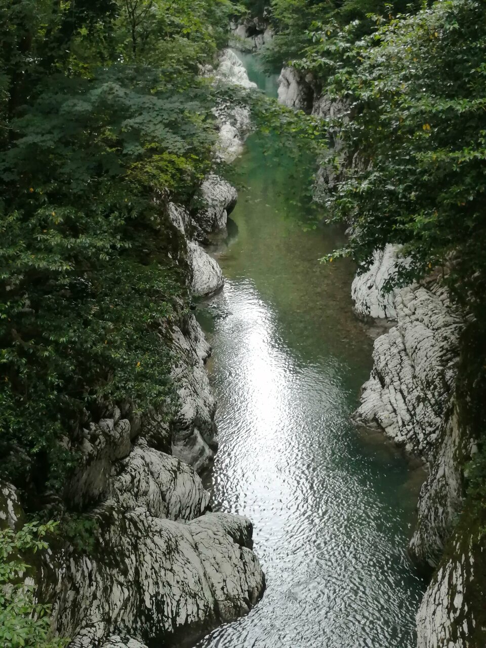 Гостиница Хоста Хоста-108