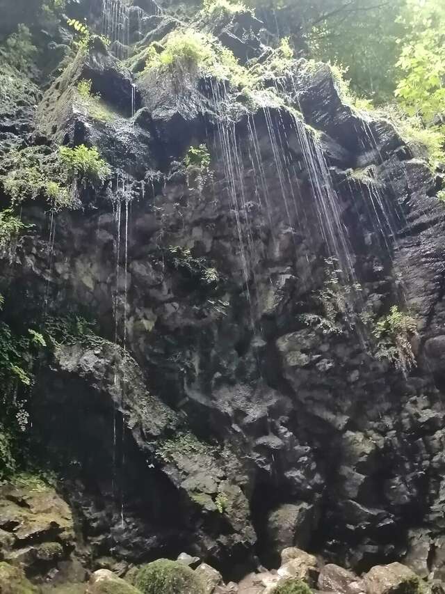 Гостиница Хоста Хоста-151