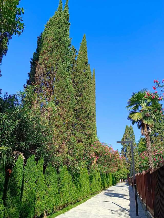 Гостиница Хоста Хоста-111