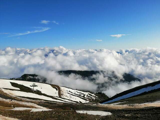 Гостиница Хоста Хоста-118