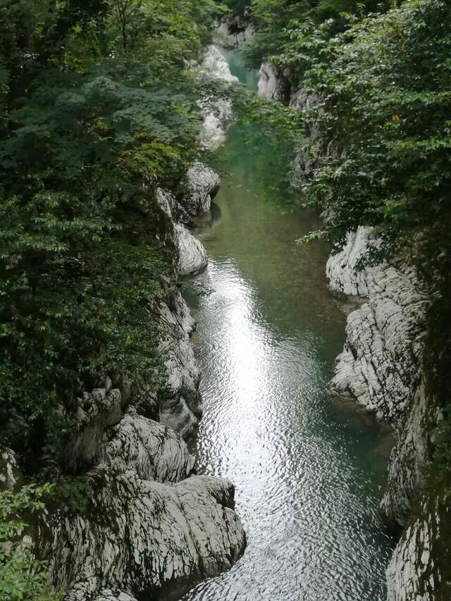 Гостиница Хоста Хоста-107