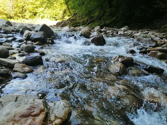 Гостиница Хоста Хоста-138